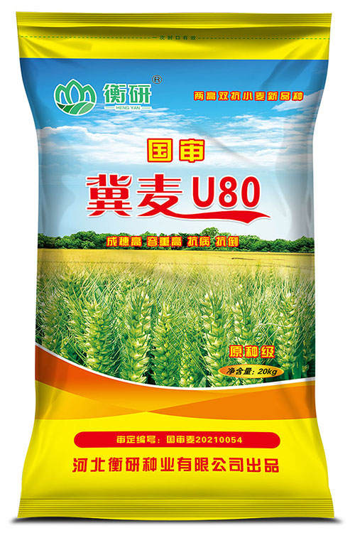 冀麥U80