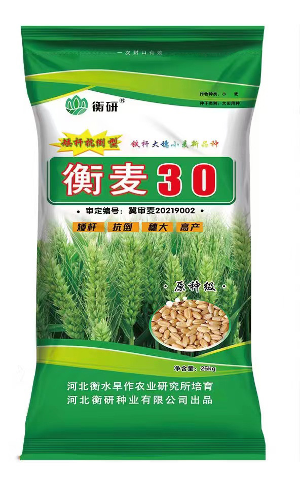 衡麥30