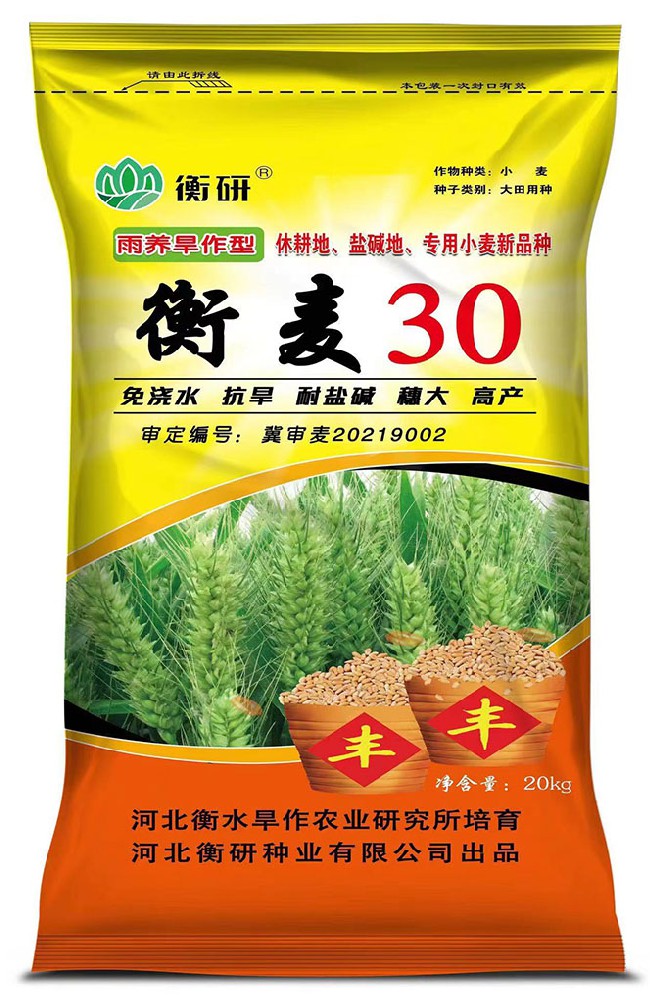 衡麥30