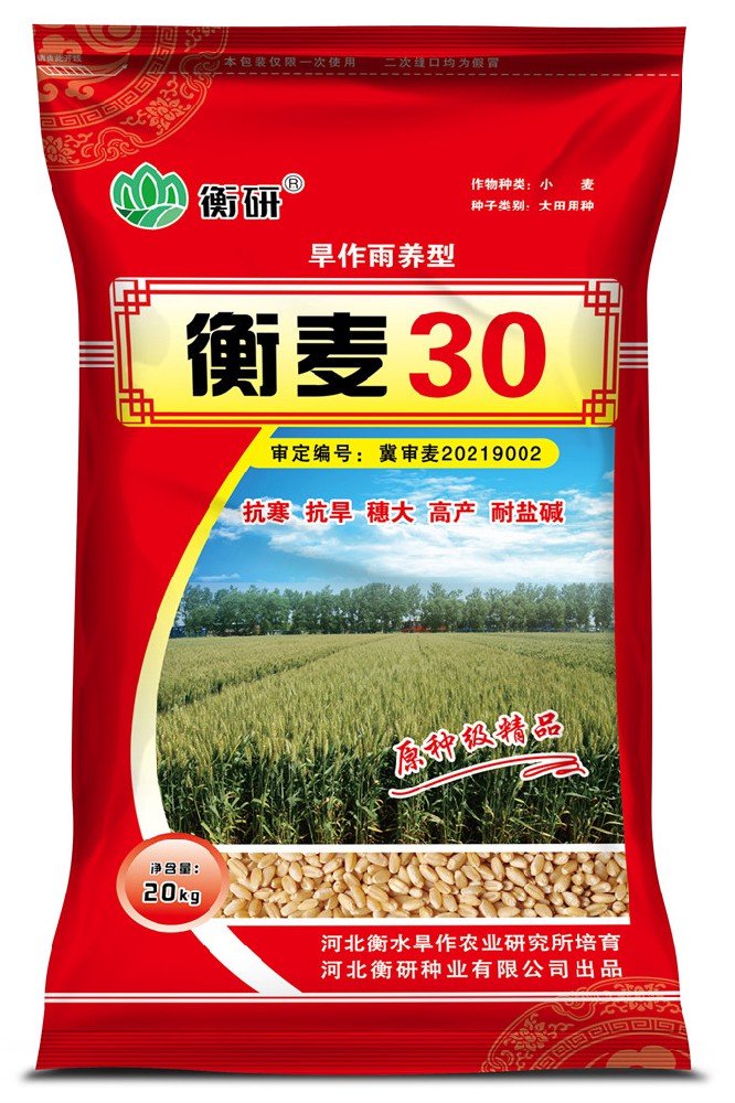 衡麥30