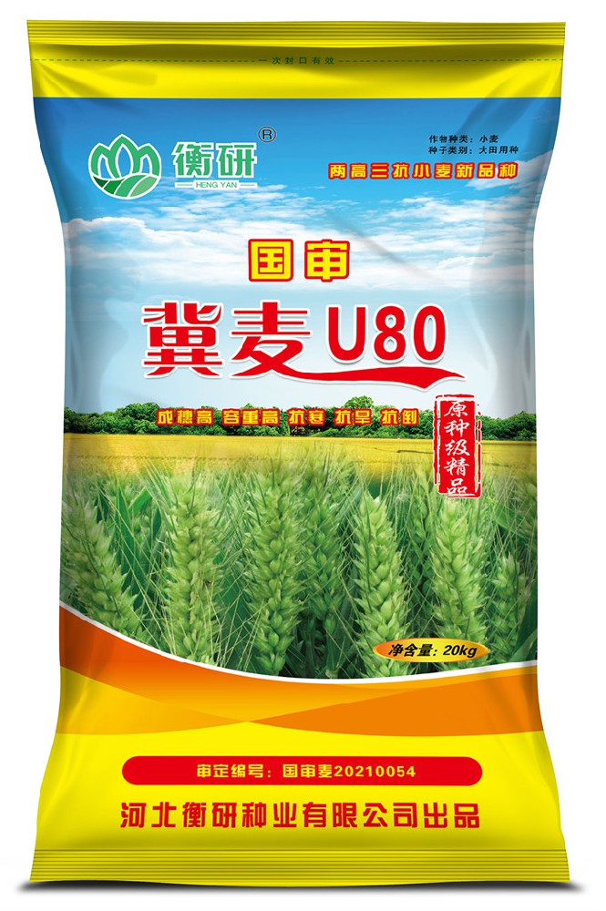 冀麥U80